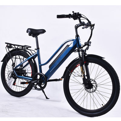 36V Şehir Banliyö Elektrikli Bisiklet, 7Speed ​​​​Paslanmayan Elektrikli Bisiklet City Cruiser