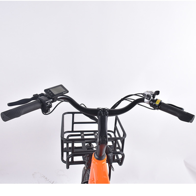 Banliyö Gıda Teslimatı için OEM Çanta Kargo E Bisiklet 750W